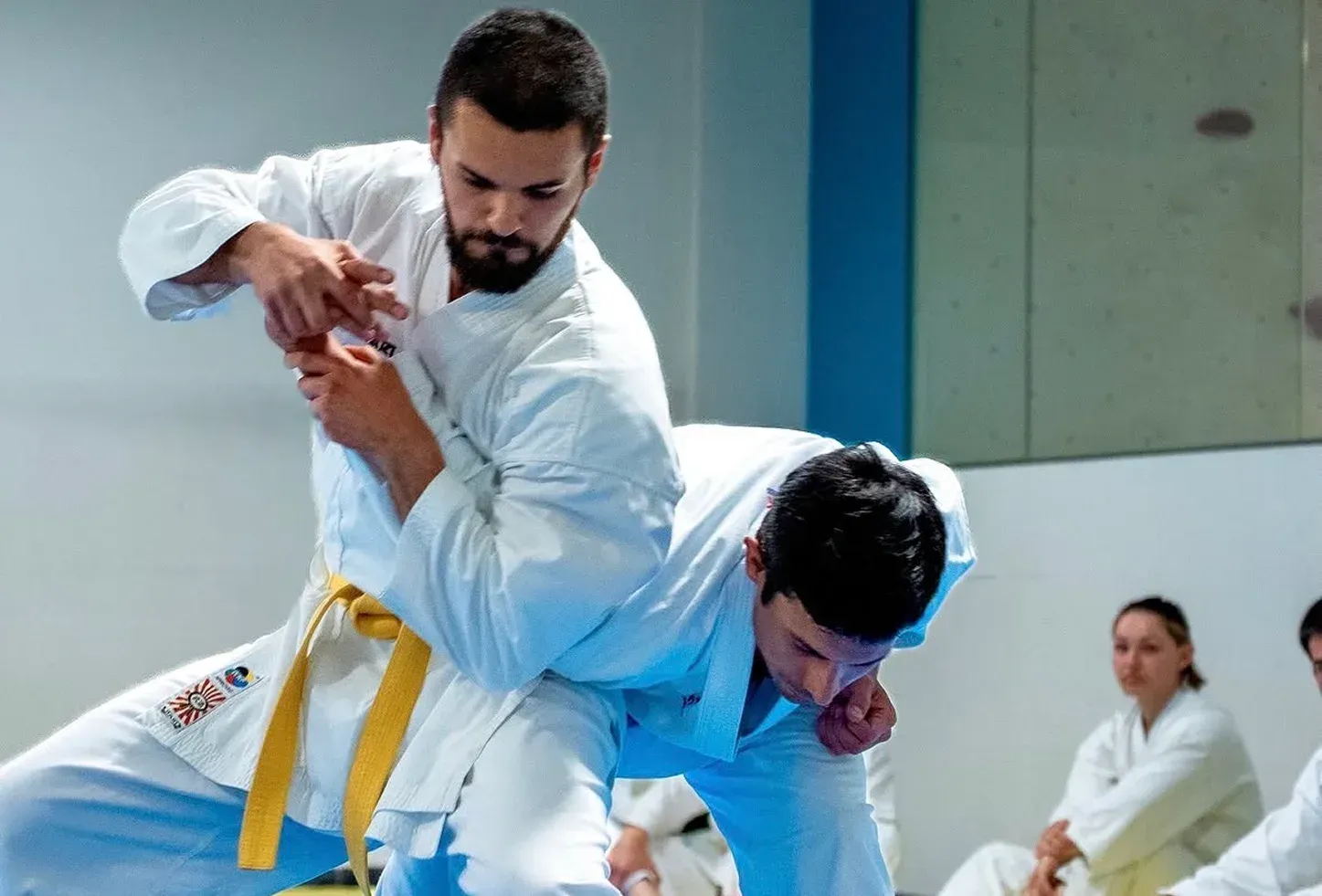 Esecuzione di una tecnica di Aikijujitsu durante una lezione al Nuovo Dojo Trento